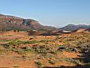 110_zion.jpg